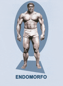 Endomorfo